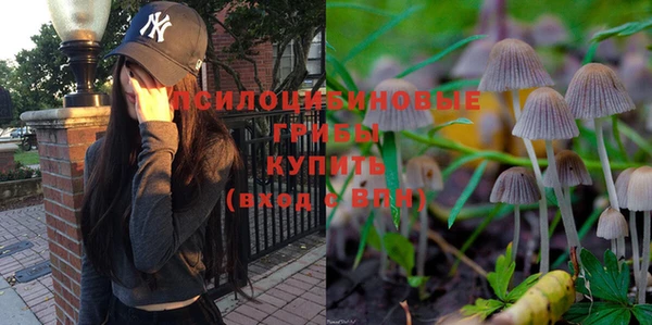 а пвп мука Аркадак
