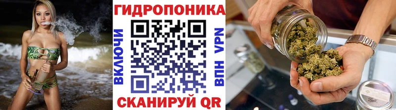 это формула  Горно-Алтайск  Каннабис индика  ссылка на мегу  